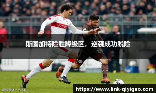 奇异果体育平台