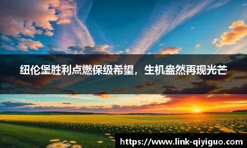 奇异果体育官网入口