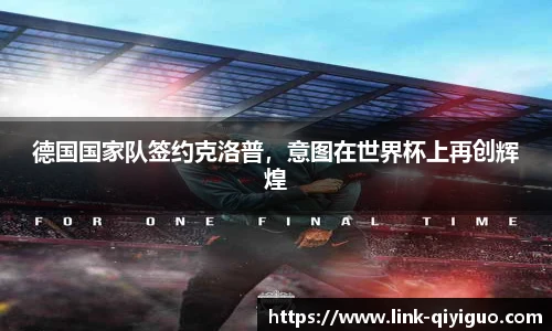 奇异果体育官网入口