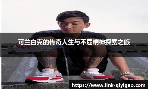 奇异果体育官网入口