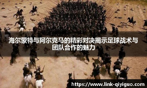 奇异果体育官网入口