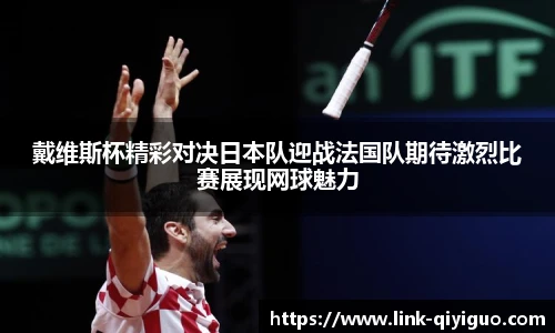 奇异果体育官网入口