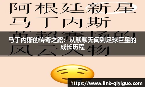 奇异果体育官网入口