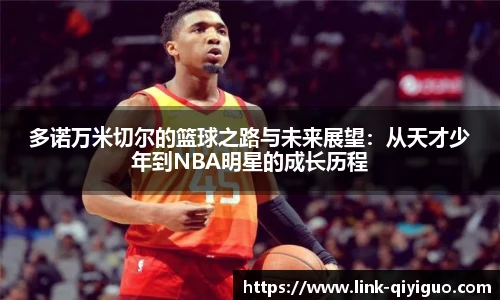 奇异果体育官网入口